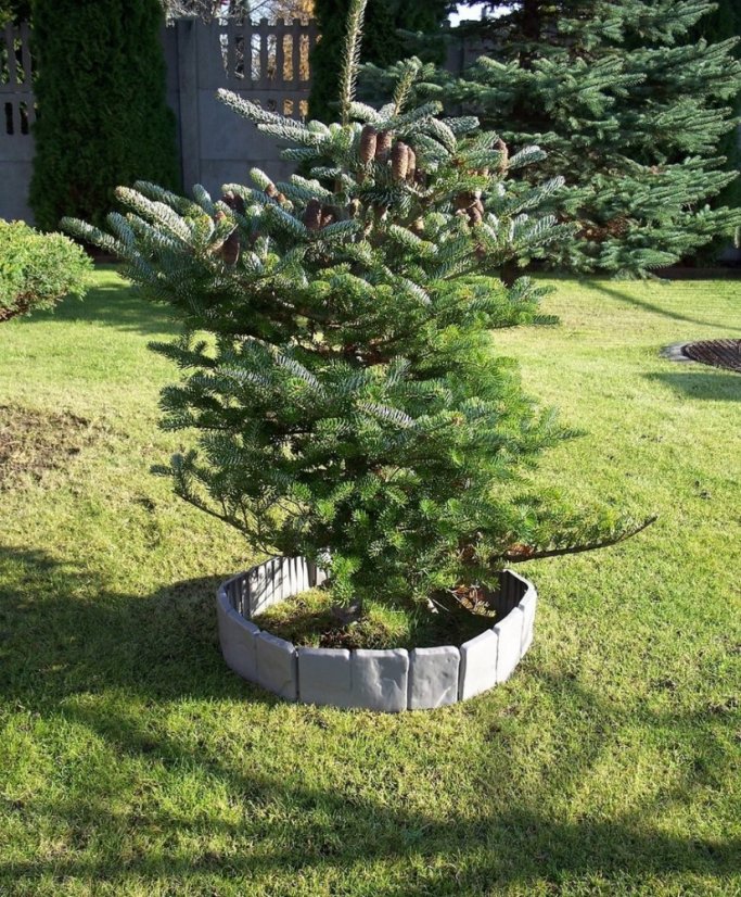 ALDOTRADE Záhradný obrubník plastový kameň 2,5m - Názov varianty: Sivá