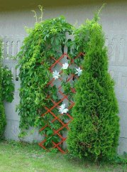 ALDOTRADE Skladacia mriežka na popínavé rastliny Pergola