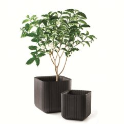 Keter kvetináč Cube M 50,5L hnedá