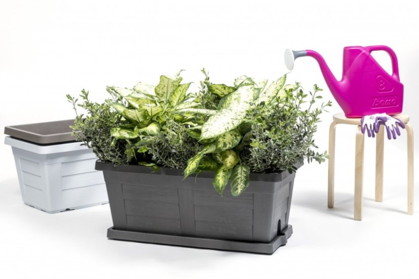 Truhlík s miskou LEGNO, 60x30x26cm, antracit