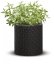 ALDOTRADE KETER Kvetináč Cylinder Planter S - Názov varianty: Hnědá