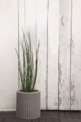 ALDOTRADE KETER Kvetináč Cylinder Planter S