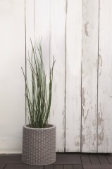 ALDOTRADE KETER Kvetináč Cylinder Planter S