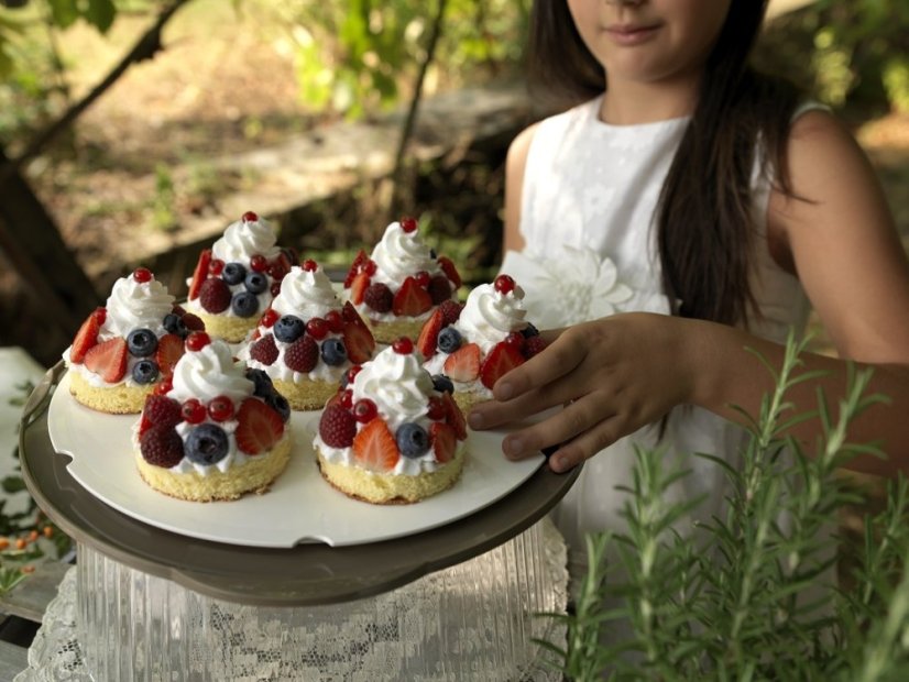 ALDOTRADE Dóza na tortu Portatorta 36,5x33x14,8cm - Názov varianty: Bordo