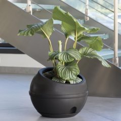 Kvetináč SFERA 23l, antracit