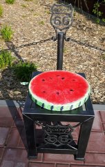 ALDOTRADE Podsedák - Melón