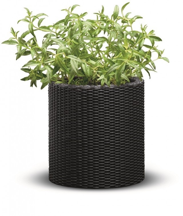 ALDOTRADE KETER Kvetináč Cylinder Planter S - Názov varianty: Šedá