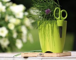 ALDOTRADE Kvetináč na bylinky Limes uno 1,3l