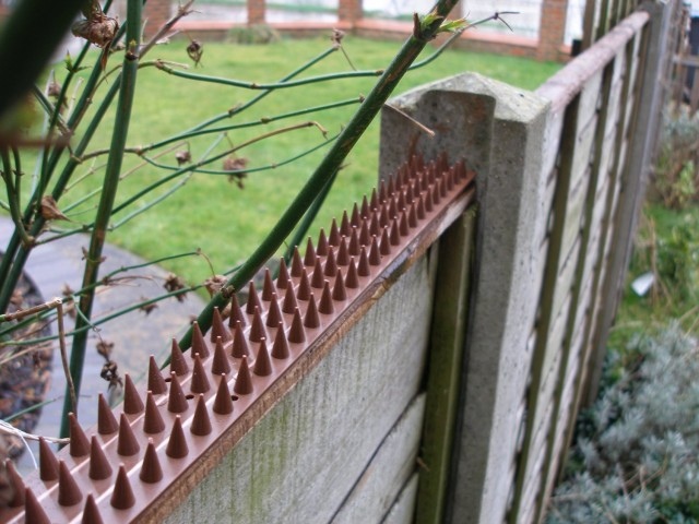 ALDOTRADE Hroty ochranné proti holubom PE 4,5x50cm - Názov varianty: Černá