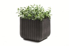 Keter kvetináč Cube M 50,5L Antracit